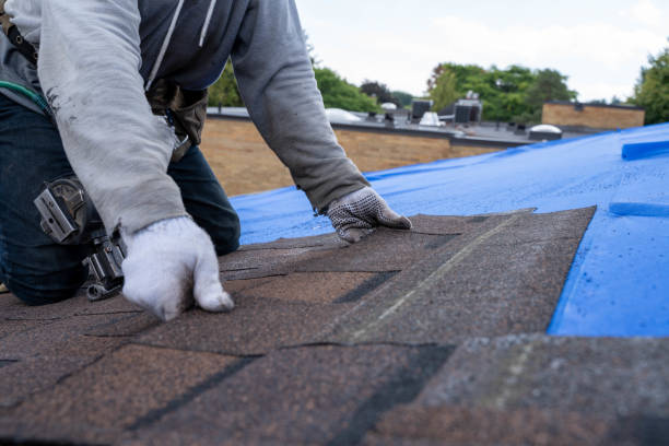 Best Metal Roofing Contractor  in Whidbey Island Station, WA